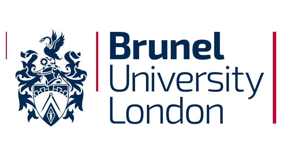 Brunel University Consultant in Pakistan
