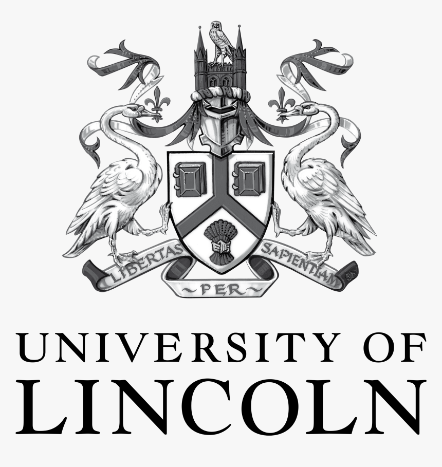 Lincoln University Consultant in lahore